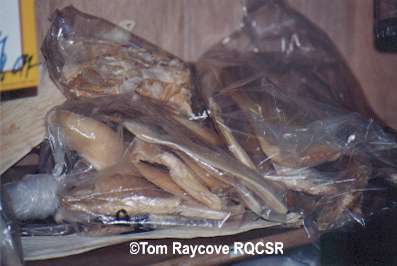 Dried shark fins bagged for sale at Honolulu's Chinatown