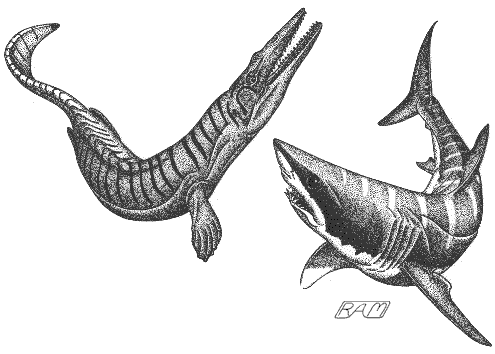The mosasaur is redrawn from an original illustration by Gregory Paul - gspauldino.com